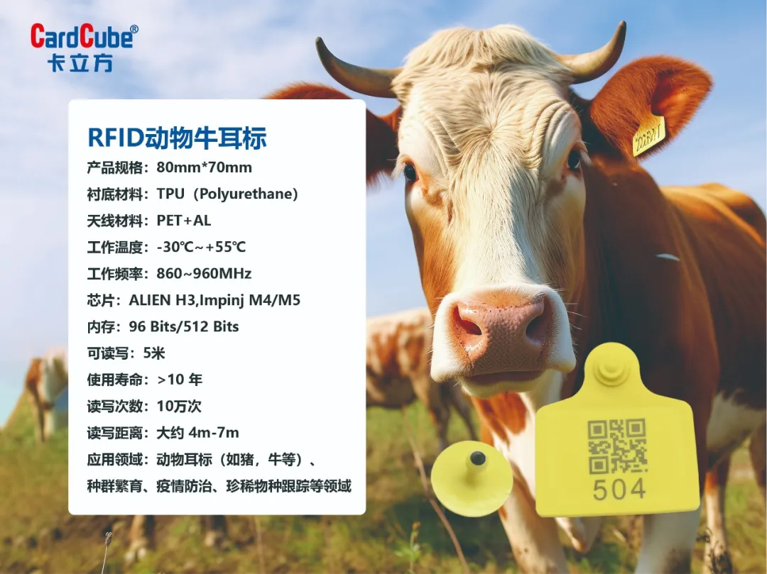 30731f44-12dd-4ede-8e18-d0dbefb9485c 30731f44-12dd-4ede-8e18-d0dbefb9485c