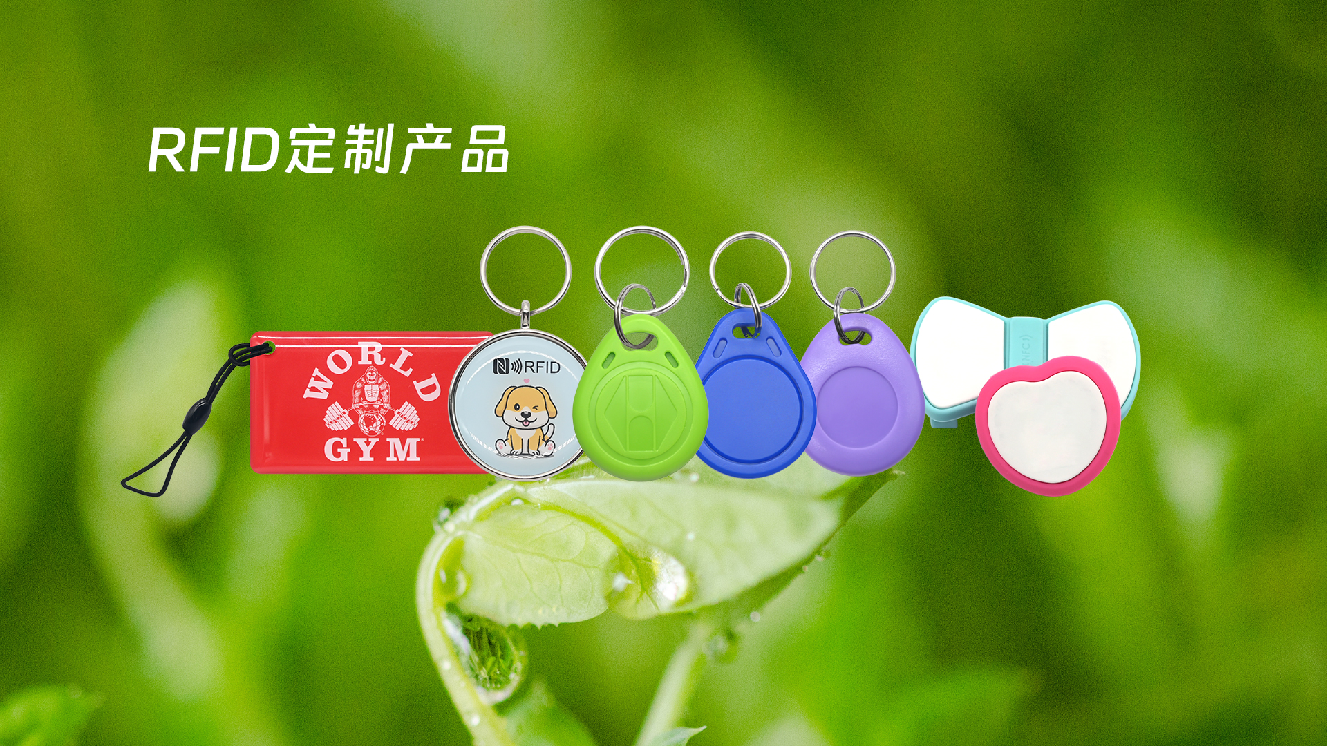 微信圖片_20250319113407