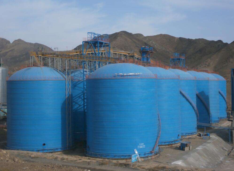 1612512882842653.jpg 1612512882842653.jpg