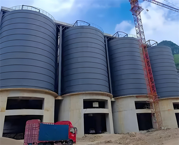 1724493589572576.jpg 704436e6-b63b-4e1e-aa3f-97d1faa212f0.jpg